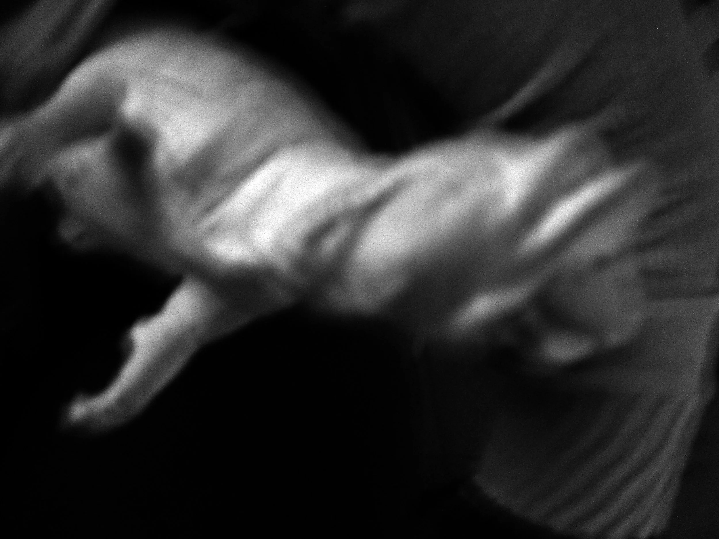 Fucked - 'No Die No Sore Lover...' Series 2008