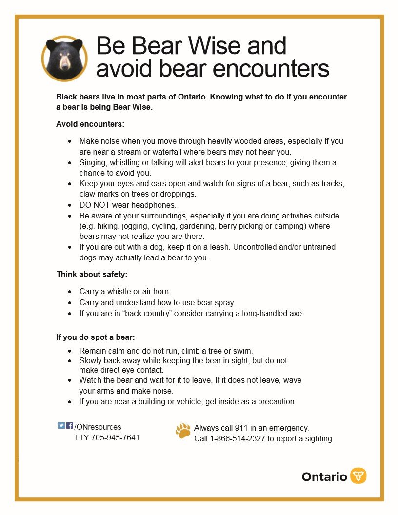 Be Bear Wise and avoid bear encounters_1.jpg