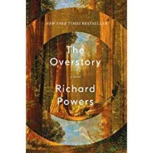 Overstory.jpg