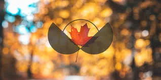 Canadian Centre.jpg
