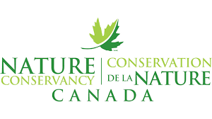 Conservancy.png