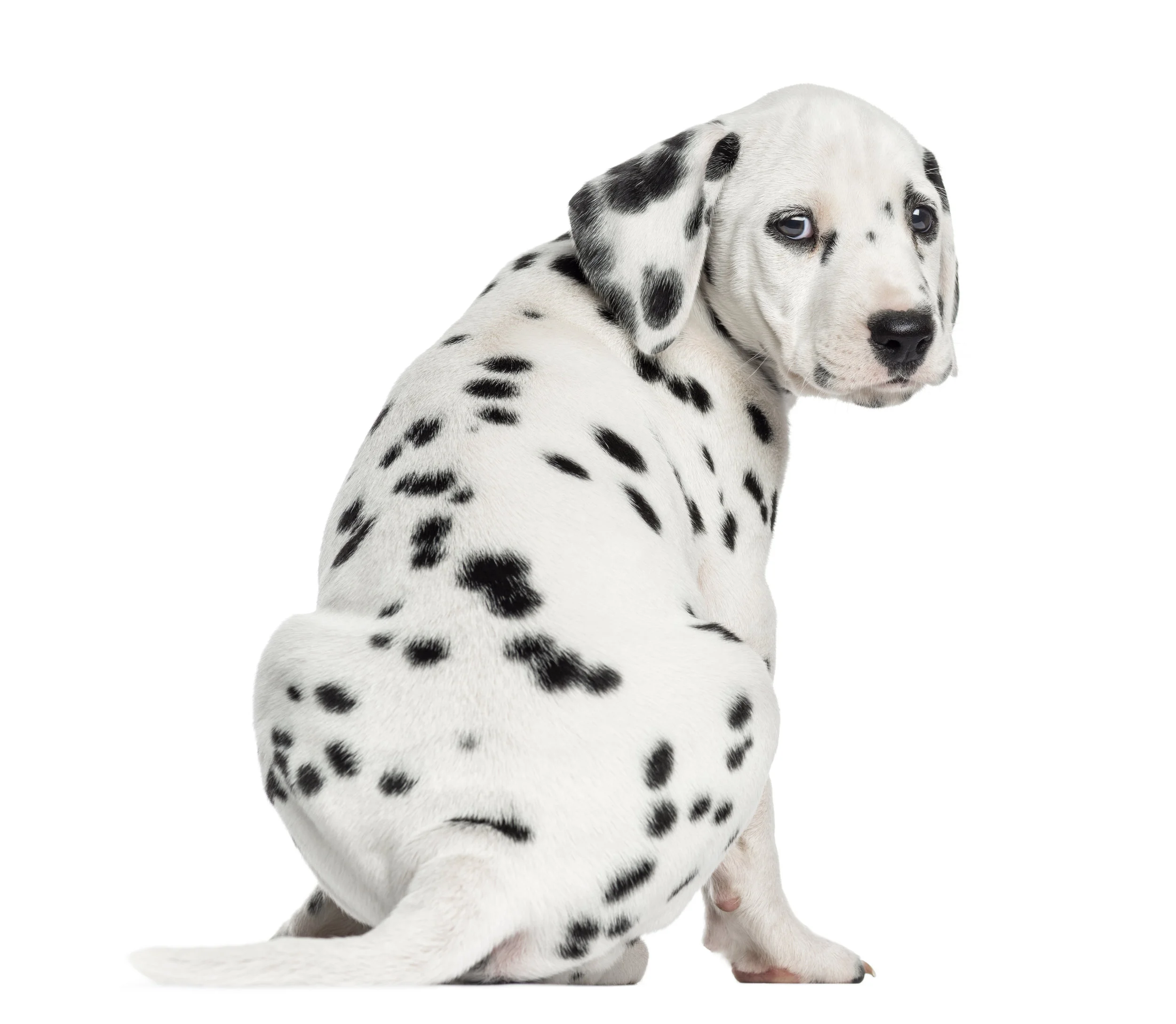 adobestock_57734125.jpeg