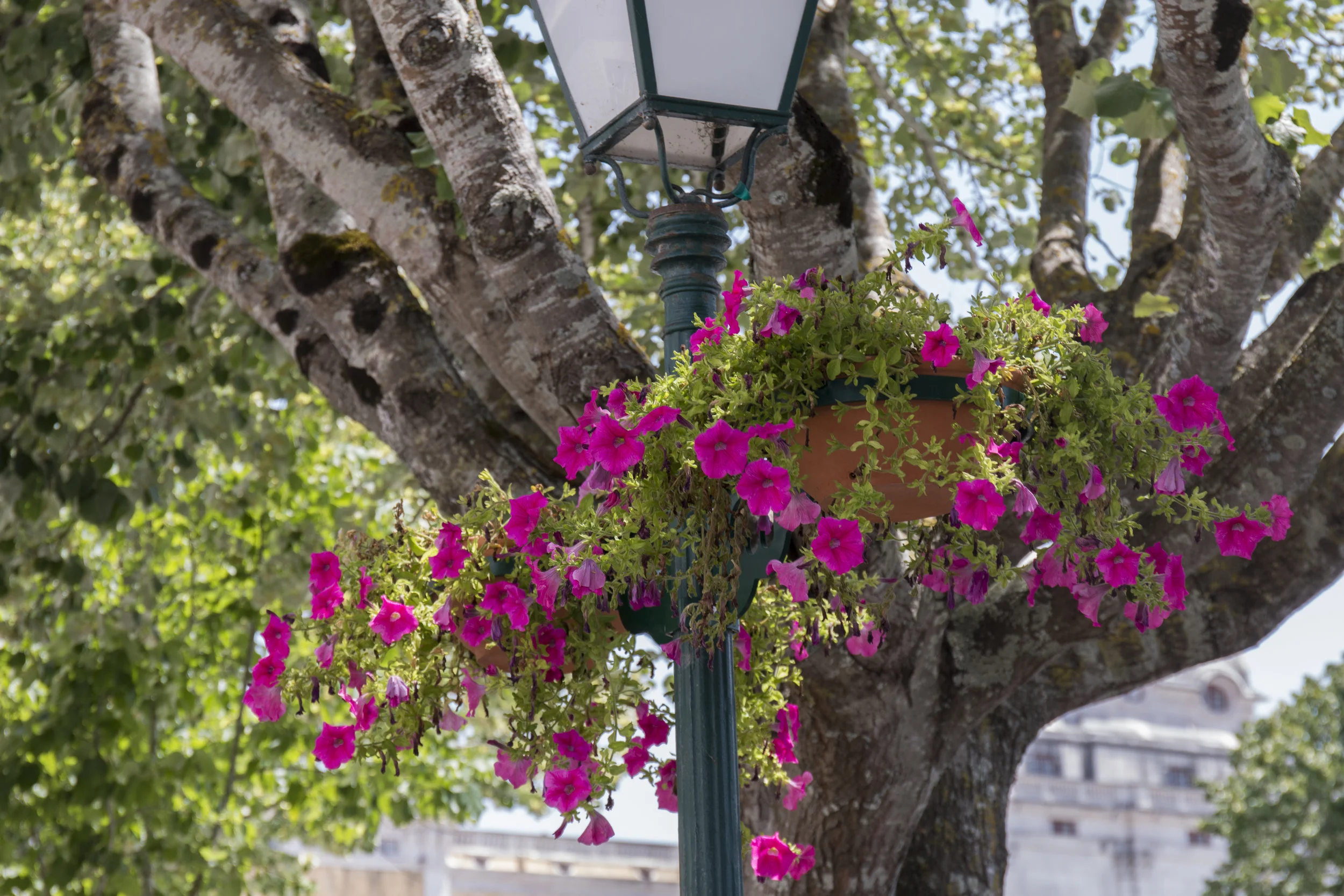 AdobeStock_131757531.jpeg