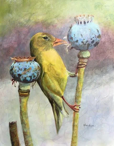 golden waxwing hardage.jpeg