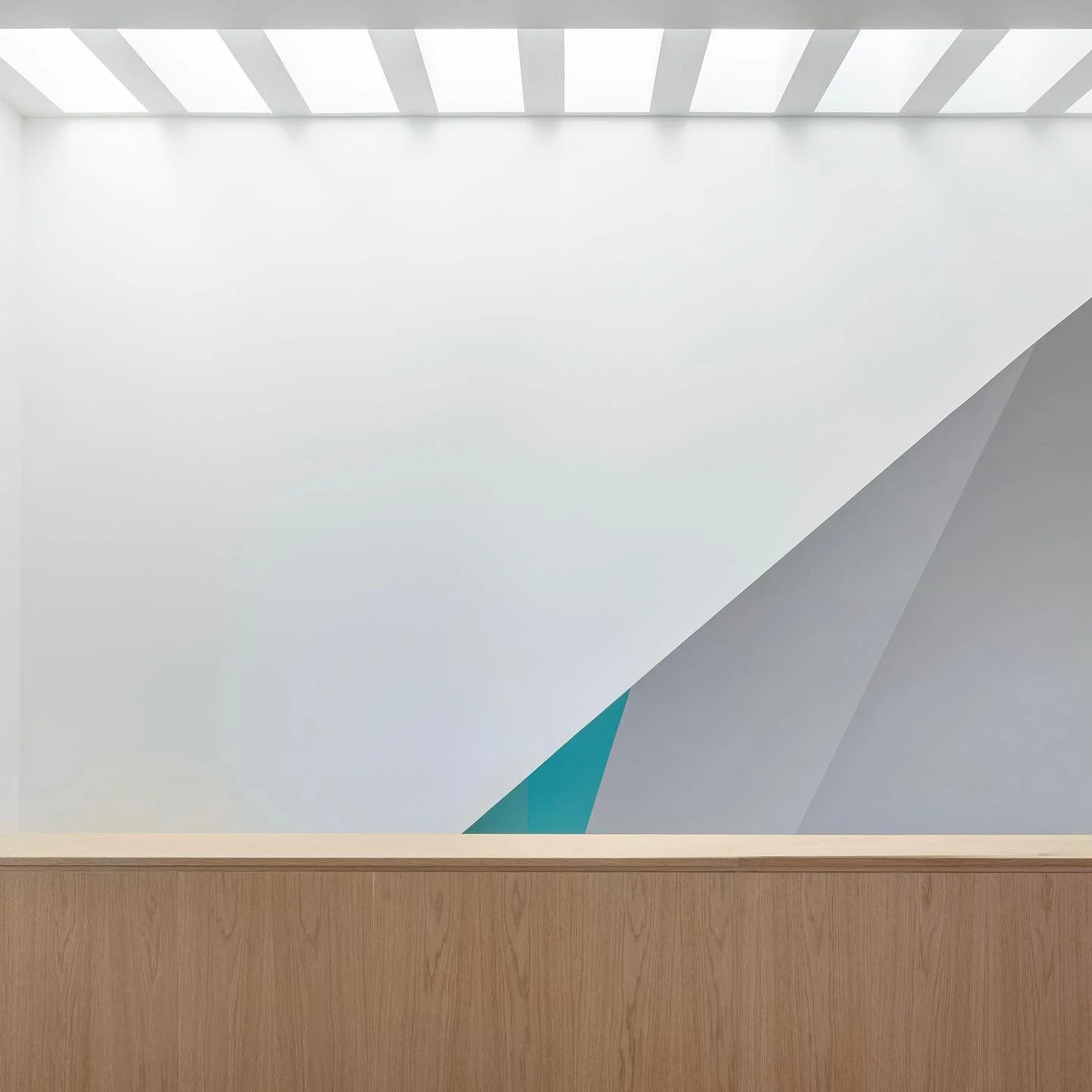 Williamsburg Townhouse. Skylight at the top of the main stair.