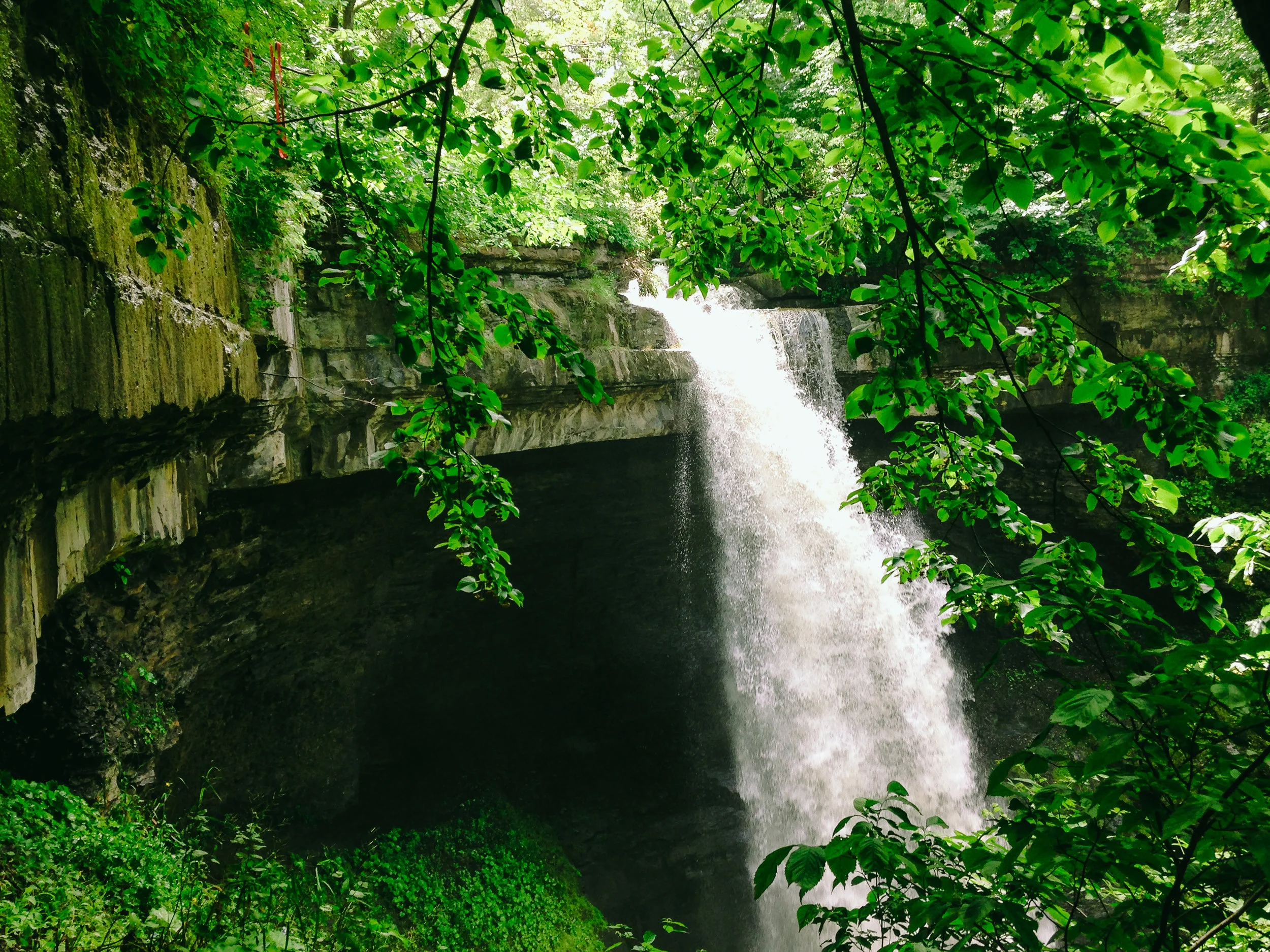 Carpenter Falls.jpg