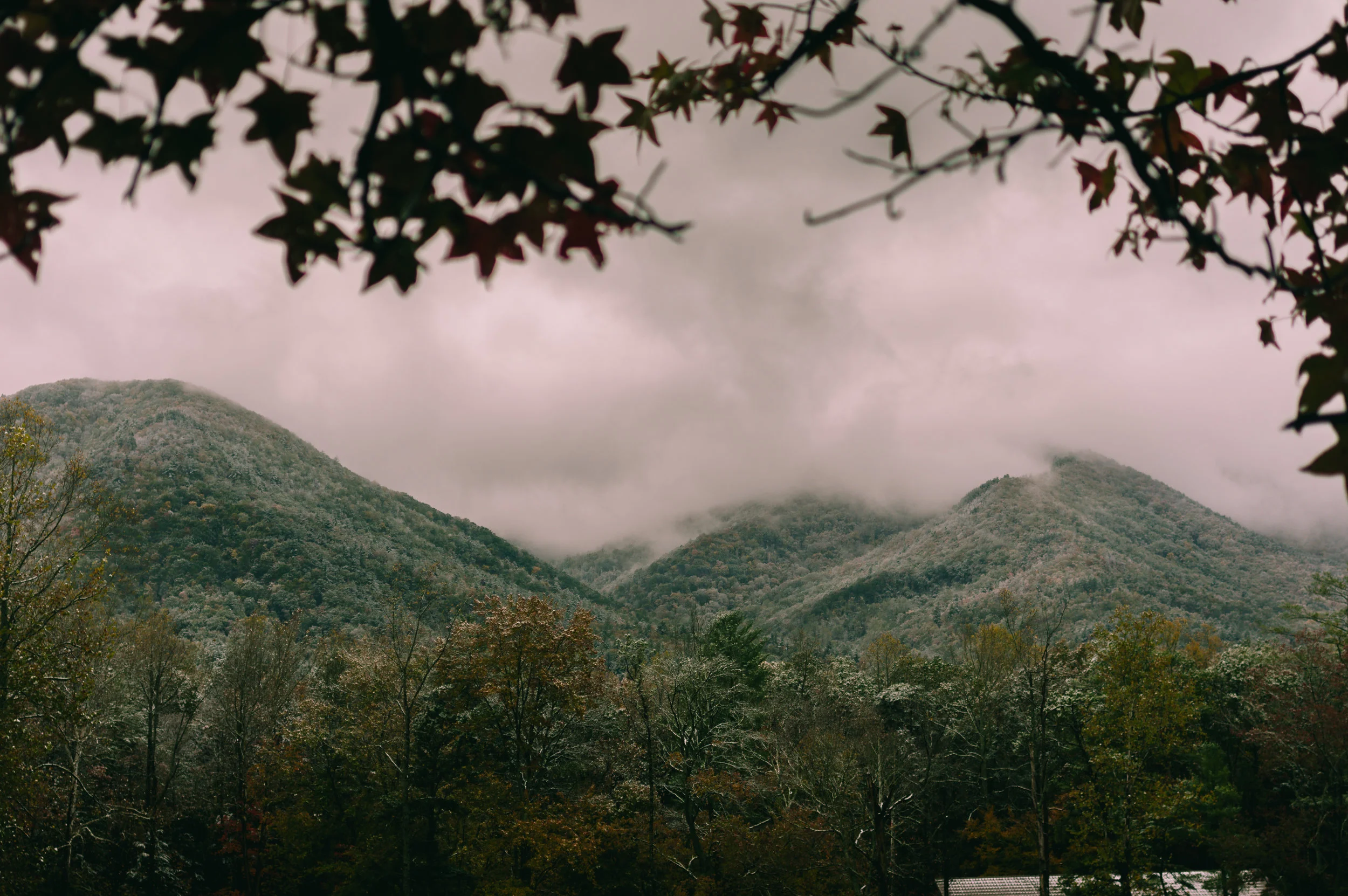 Mount.jpg