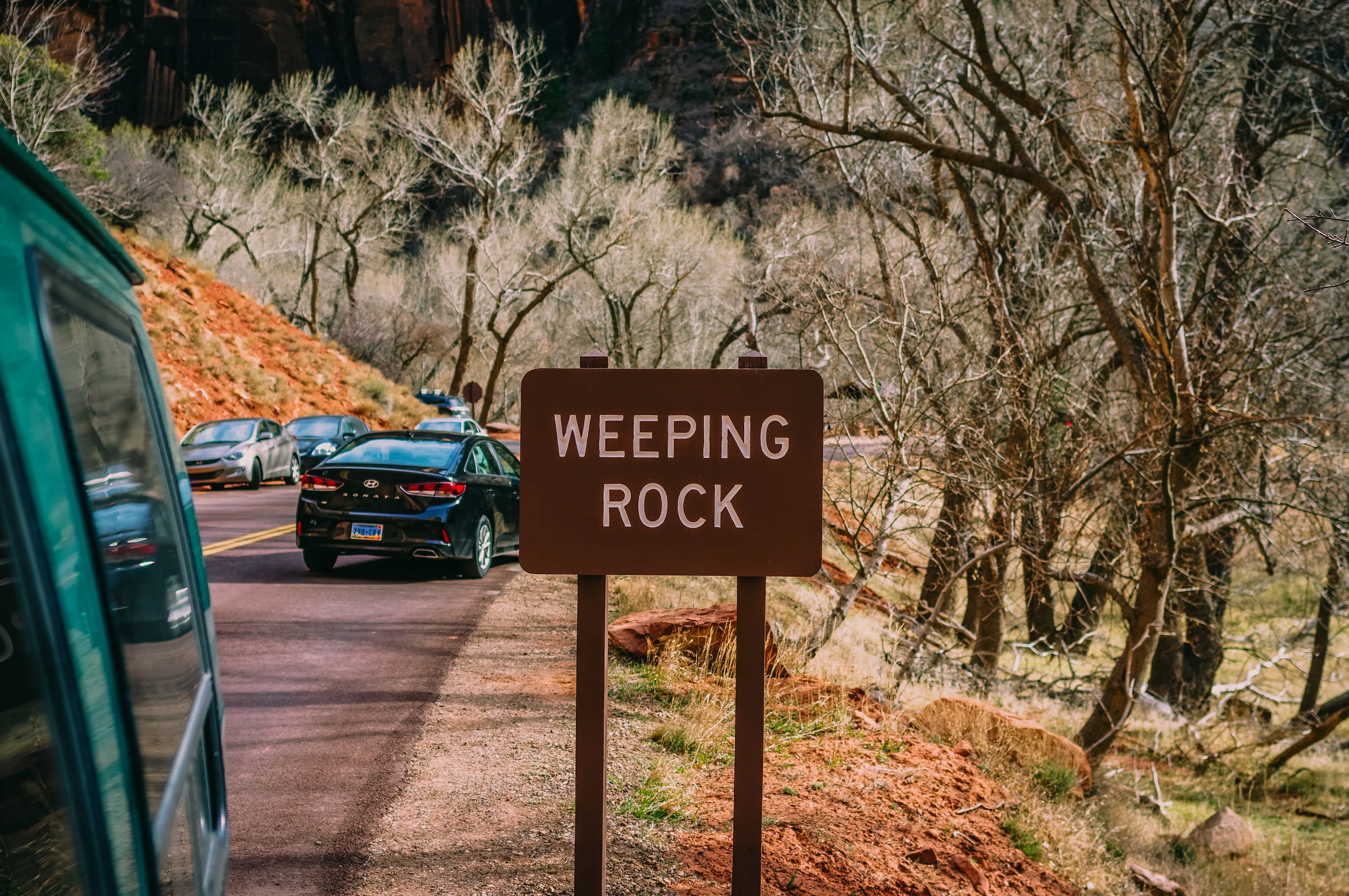 Zion-4.jpg