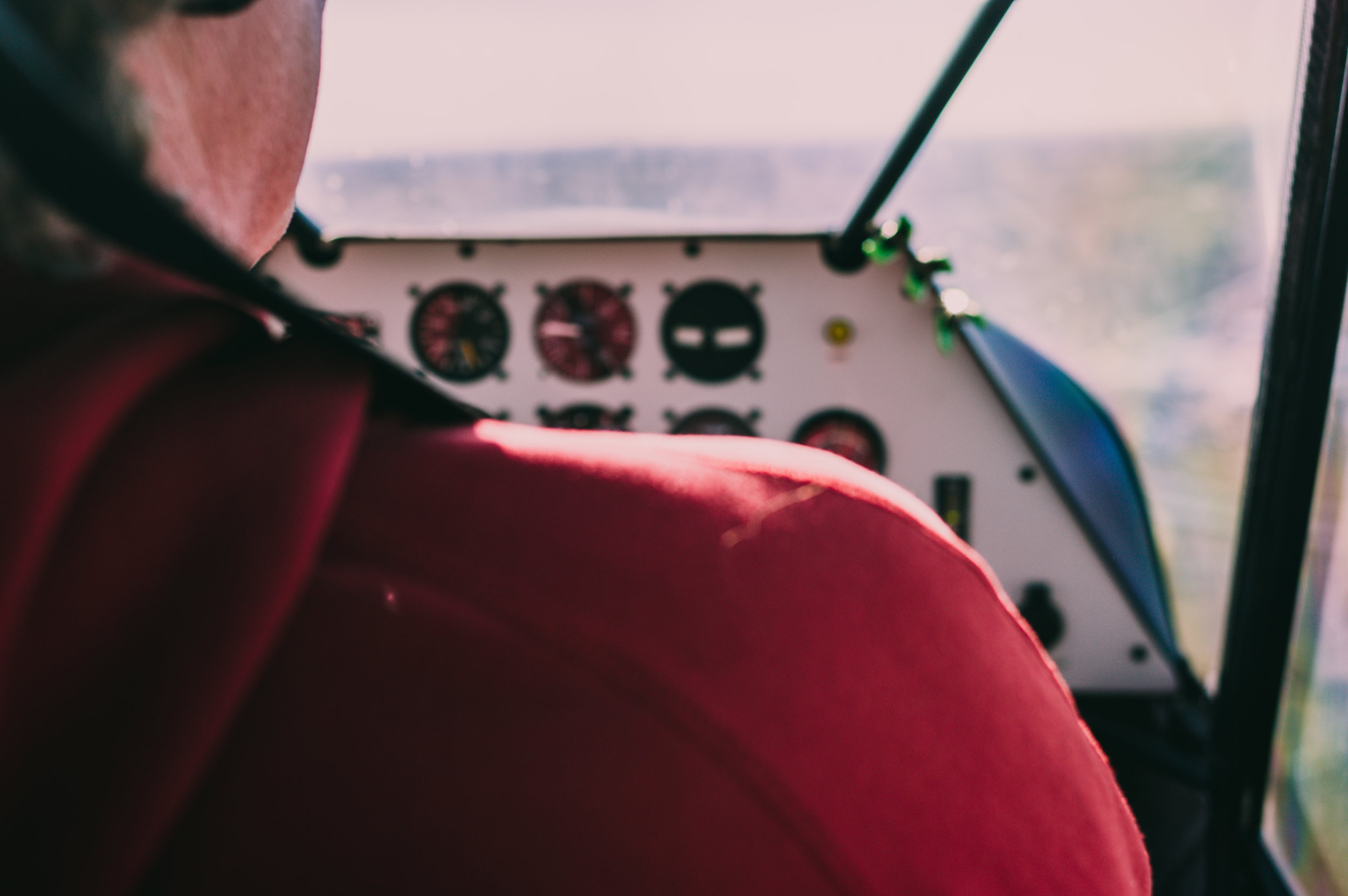 Fly-6.jpg