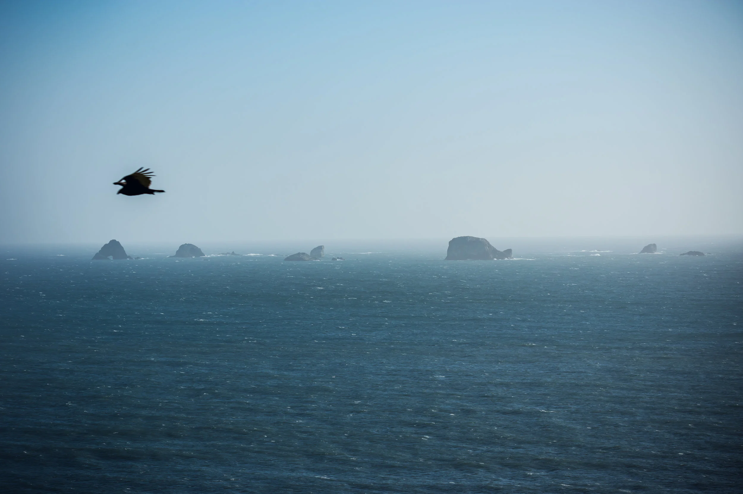 neature-3.jpg