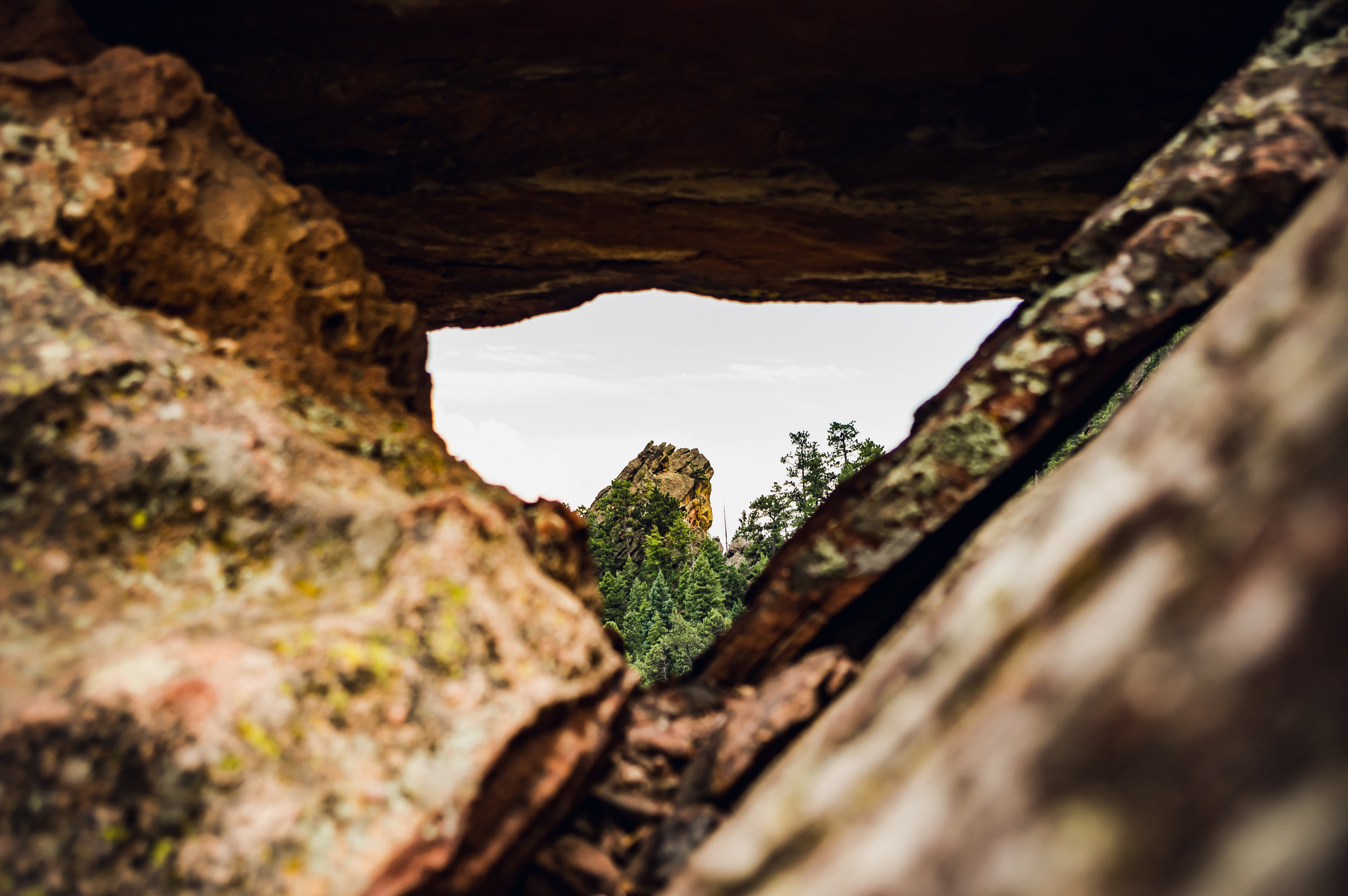 untitled-5.jpg