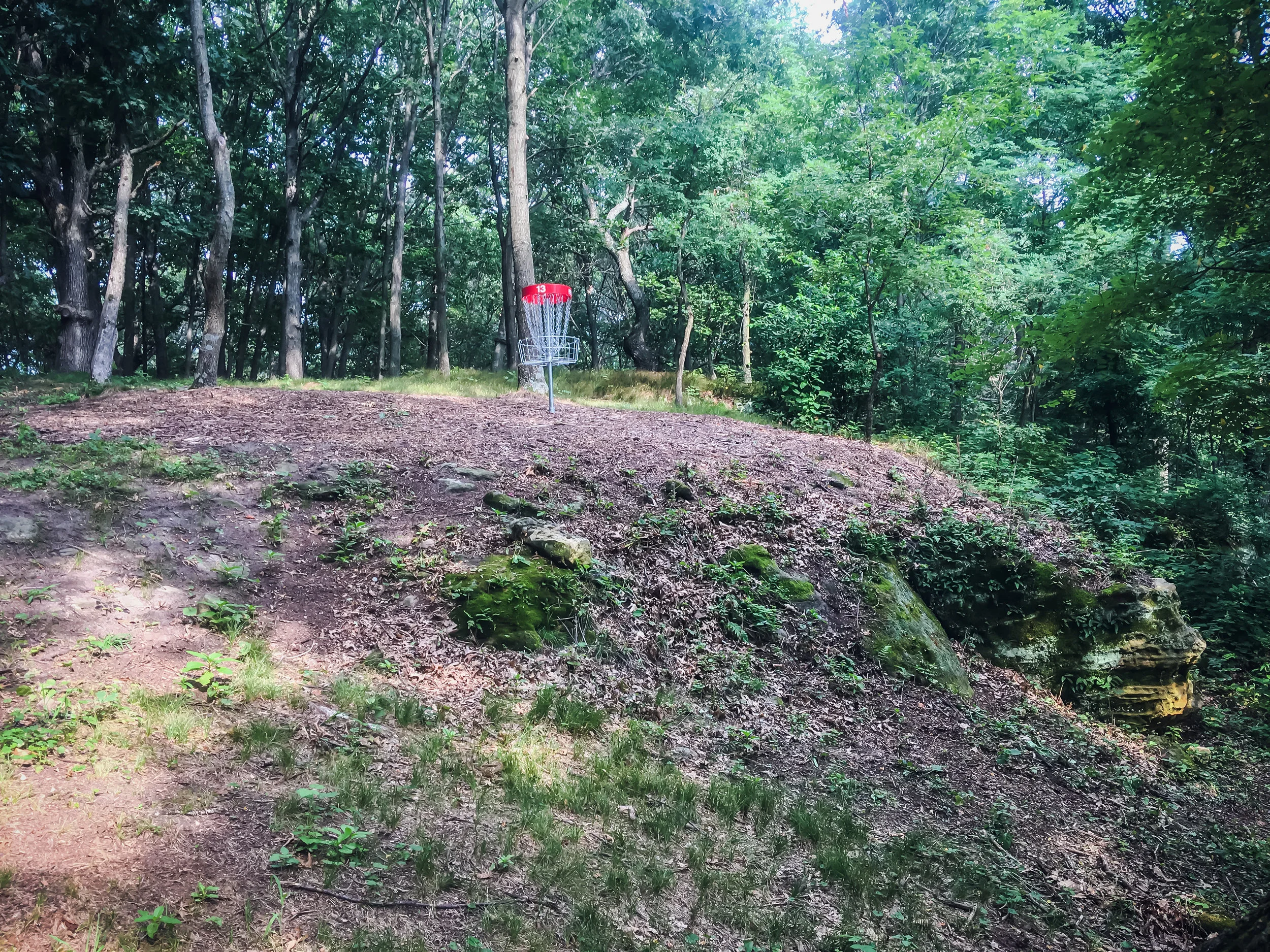 Wilderness Campground DGC, Wisc