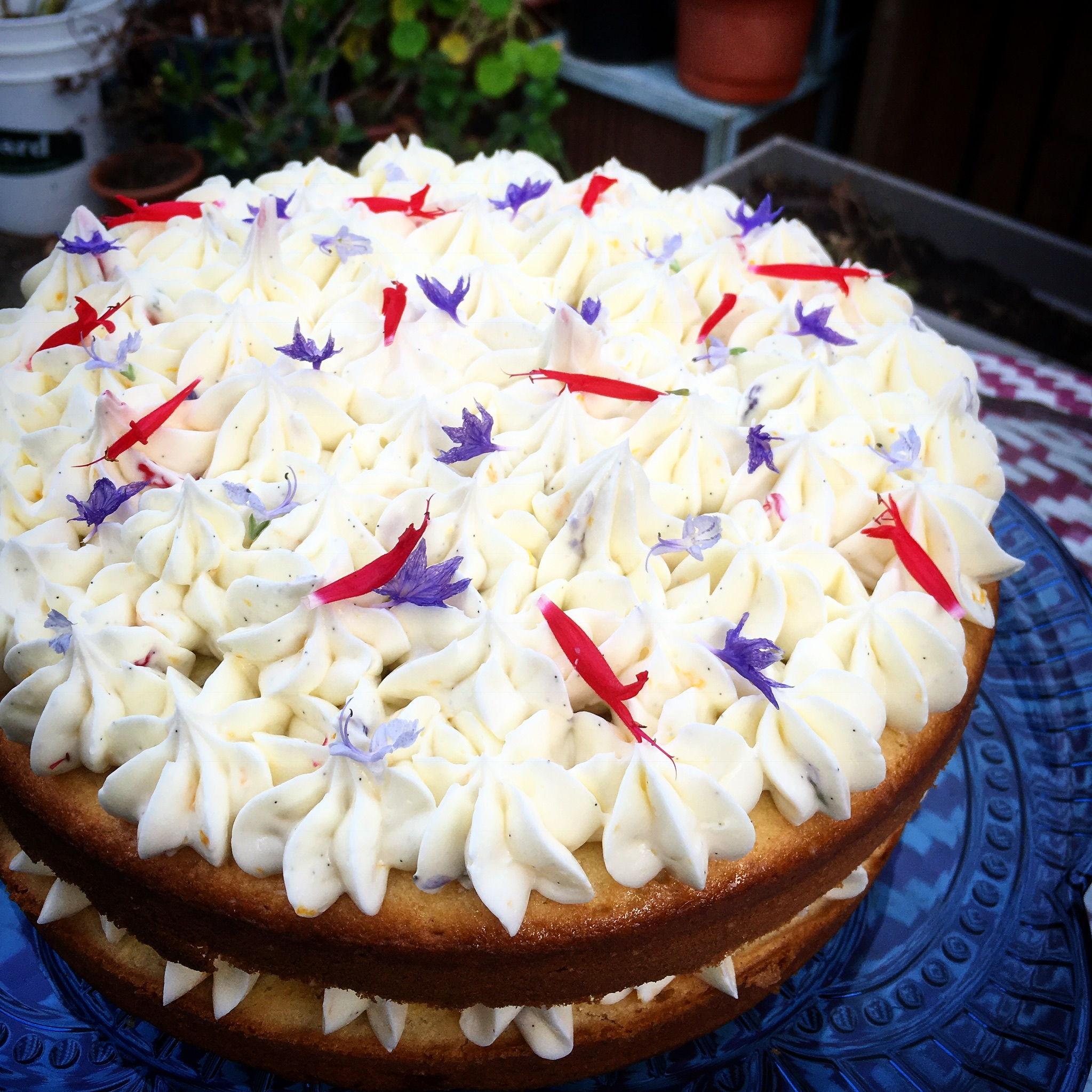 lemon vanilla layer cake with citrus buttercream and garden blossoms