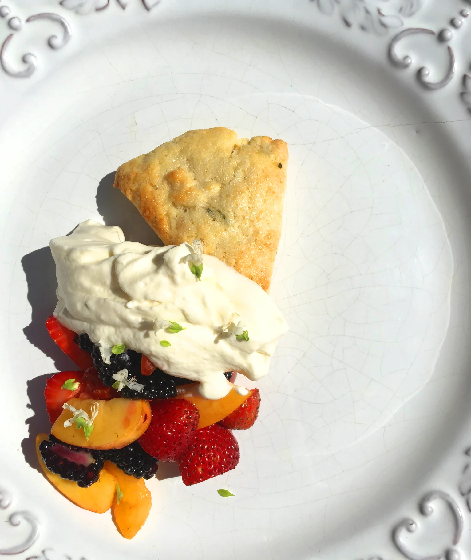 summer shortcake1.jpg