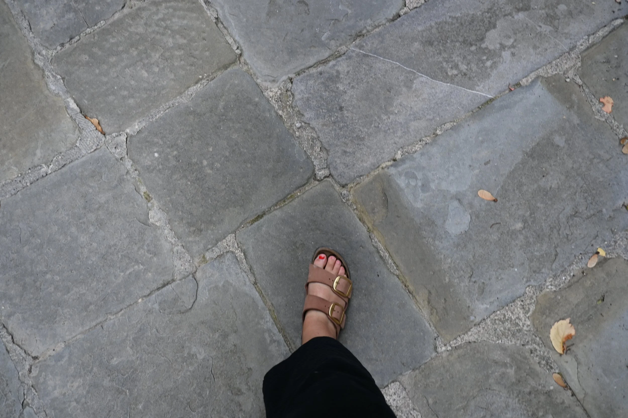 DSC_0672.jpeg