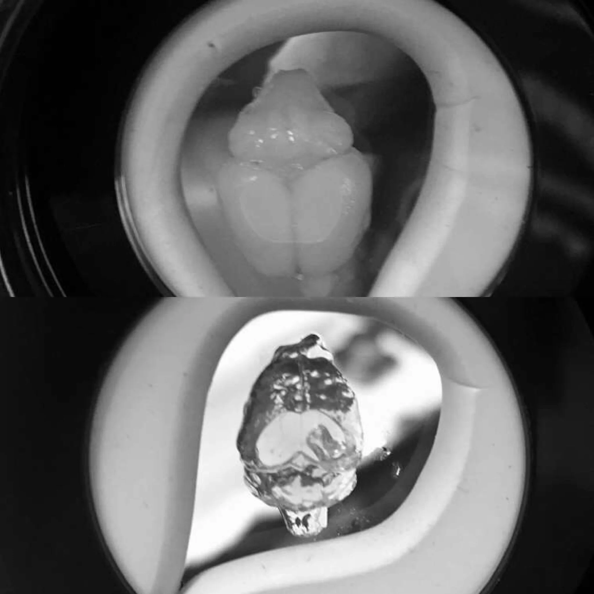 Validation of hypothesis