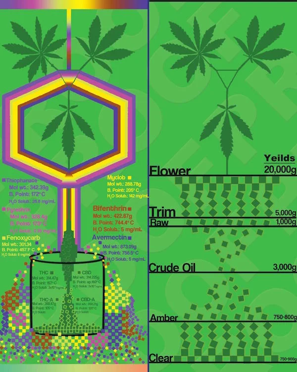 Emerald Scientific Conference 2018: Generating unique hypothesis
