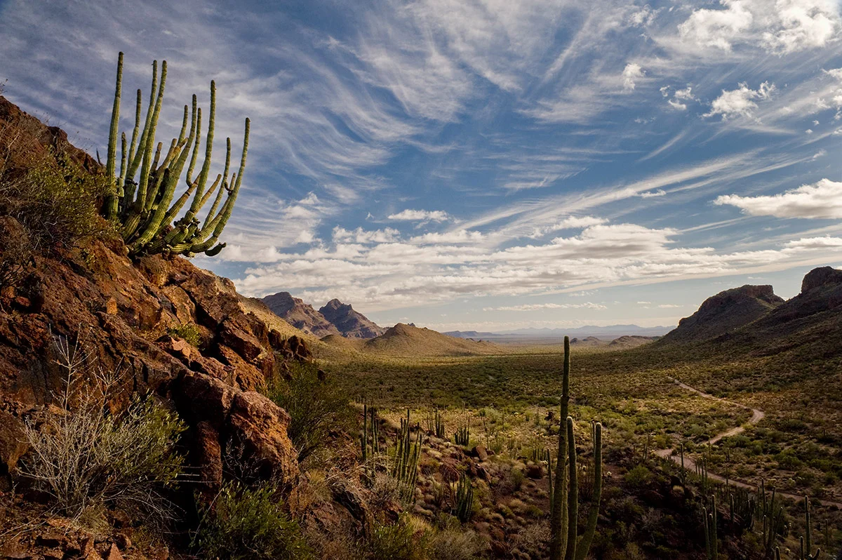 Organ Pipe National Monument