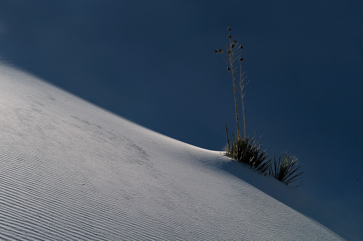 White Sands National Monument