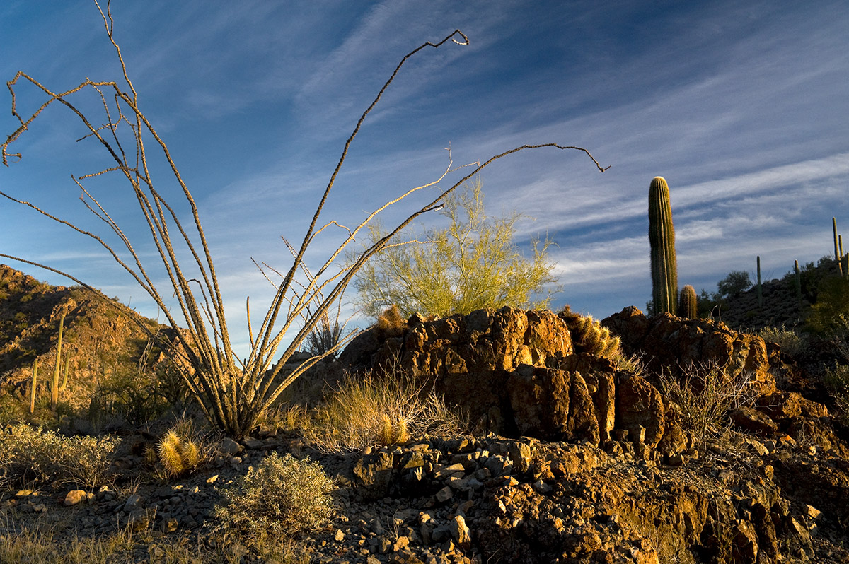 Ajo, Arizona