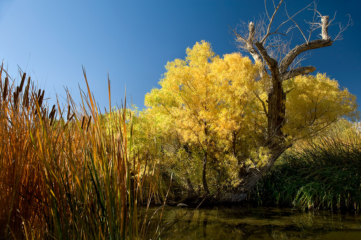 Owens River