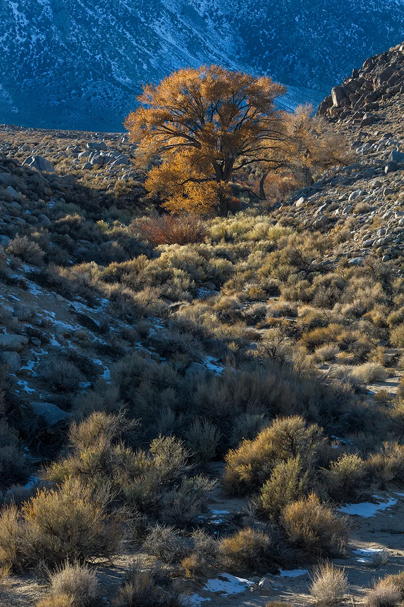 Alabama Hills