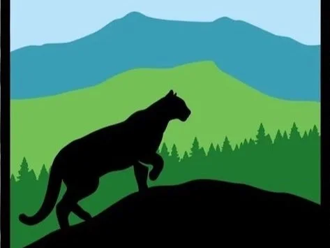 Bringing Catamounts Home