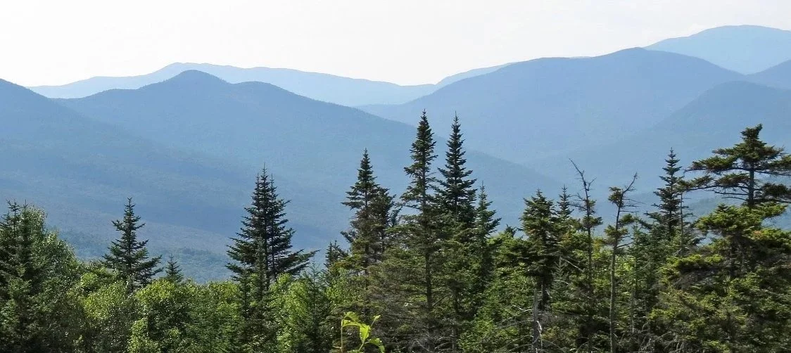 WMNF landscape NH 023 Matera.jpg