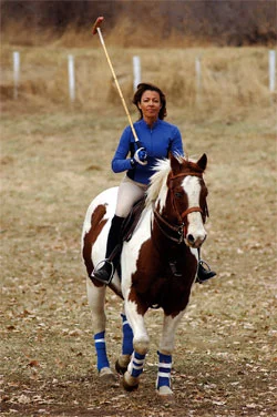 Training on one of my favorite polo ponies, Playboy, before heading to Argentina ~ Cottonwood Riding Club, Littleton, CO