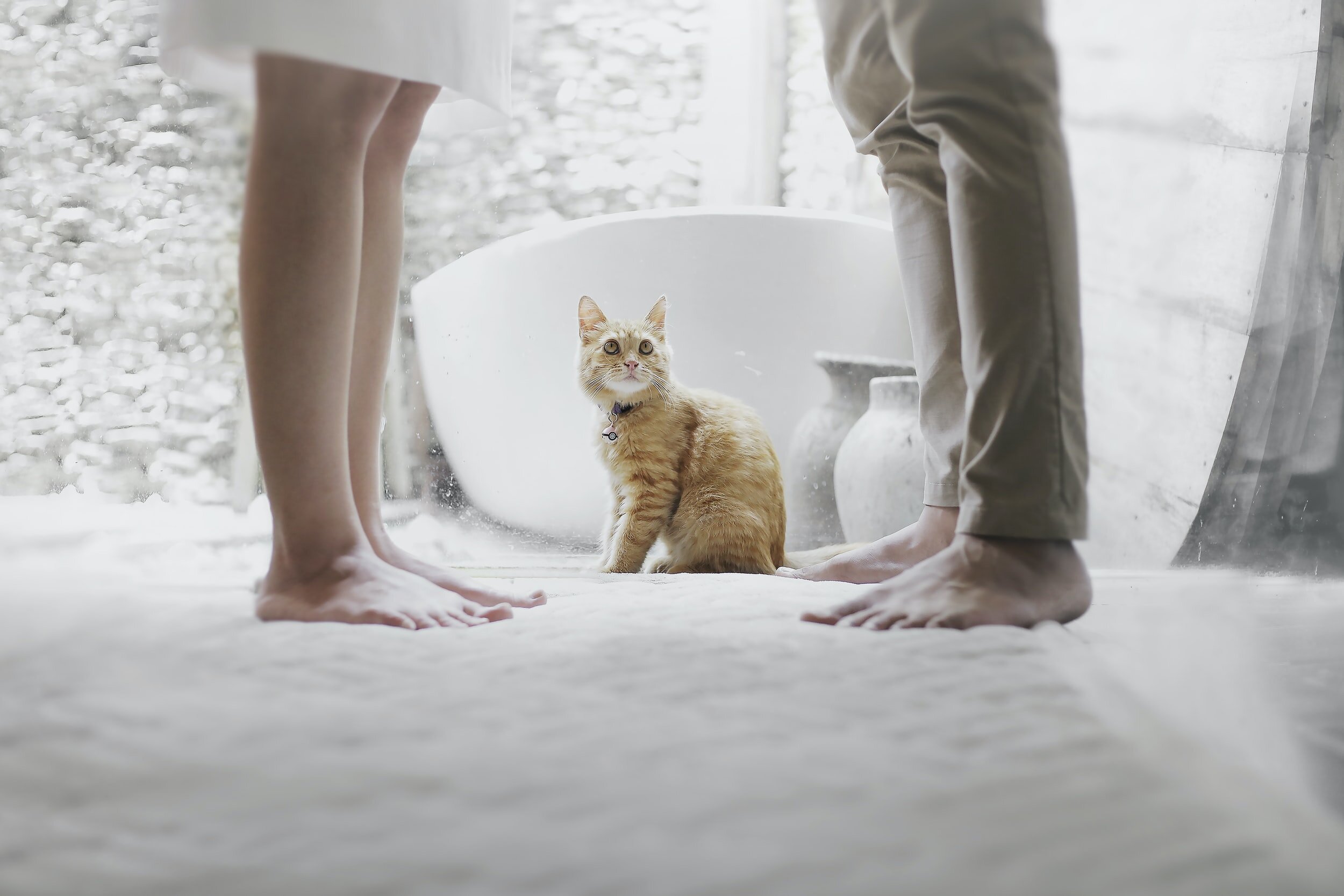 couple with cat