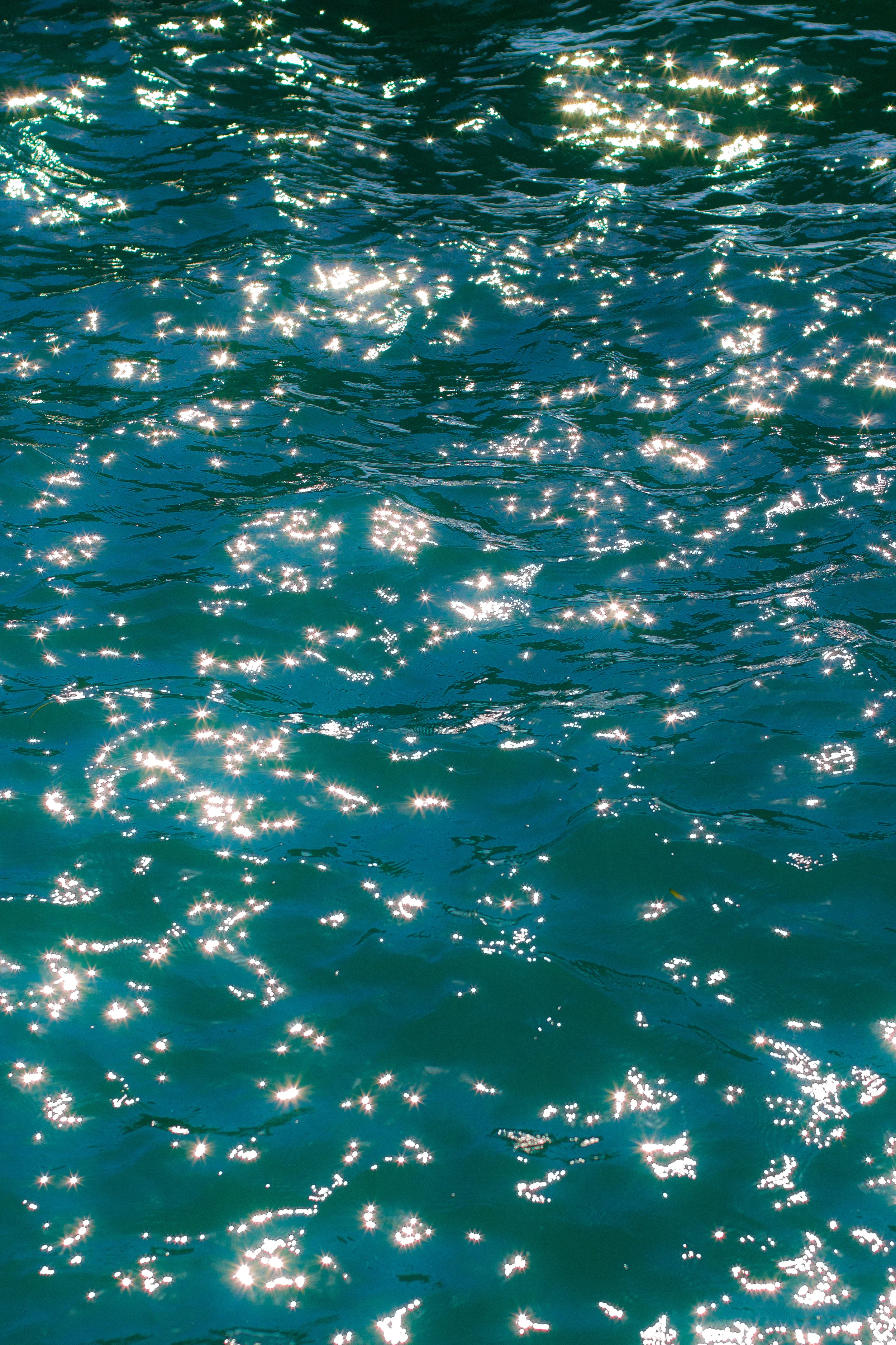 IMG_0640.jpg