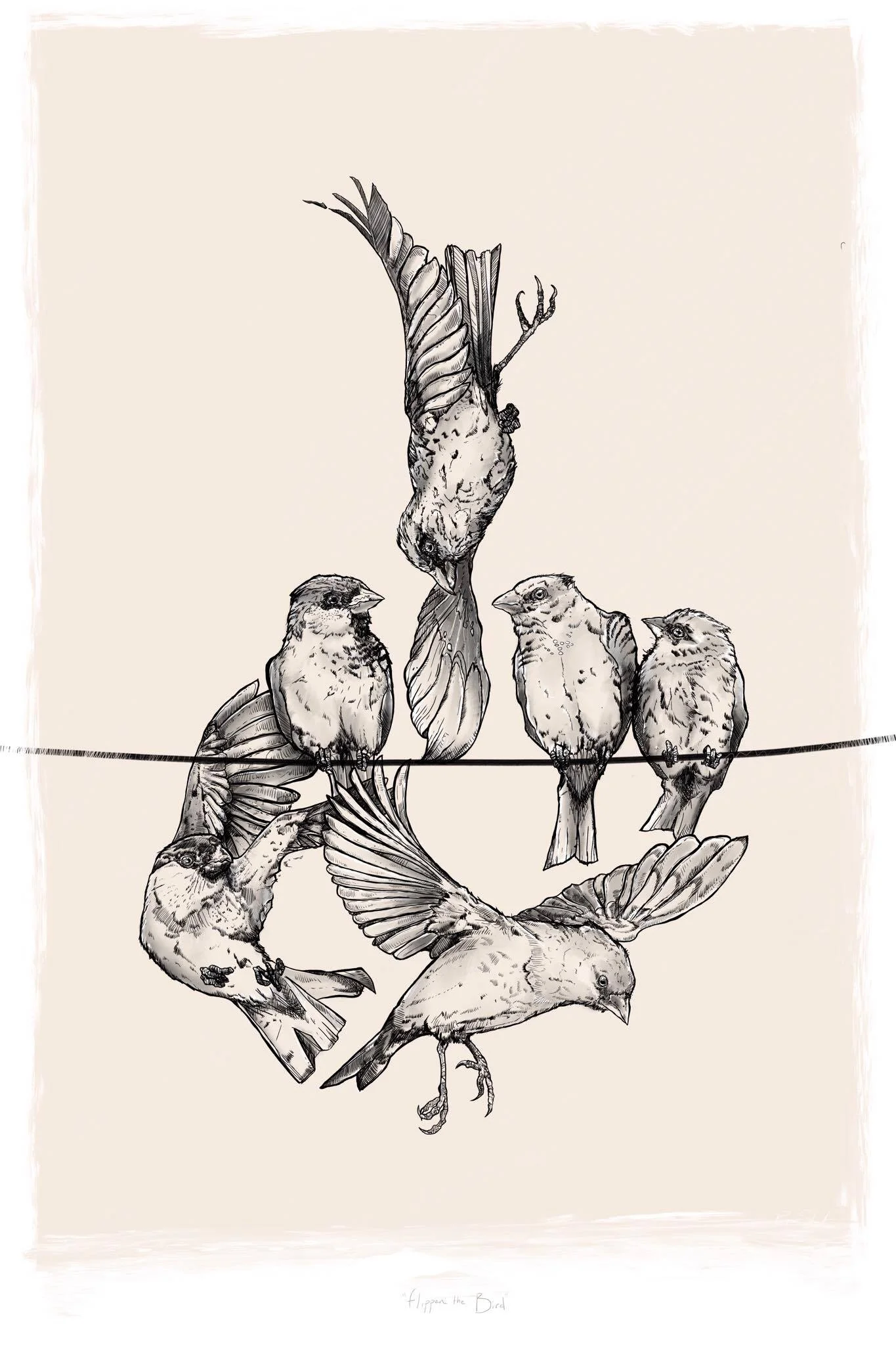 Flippn' the Bird
