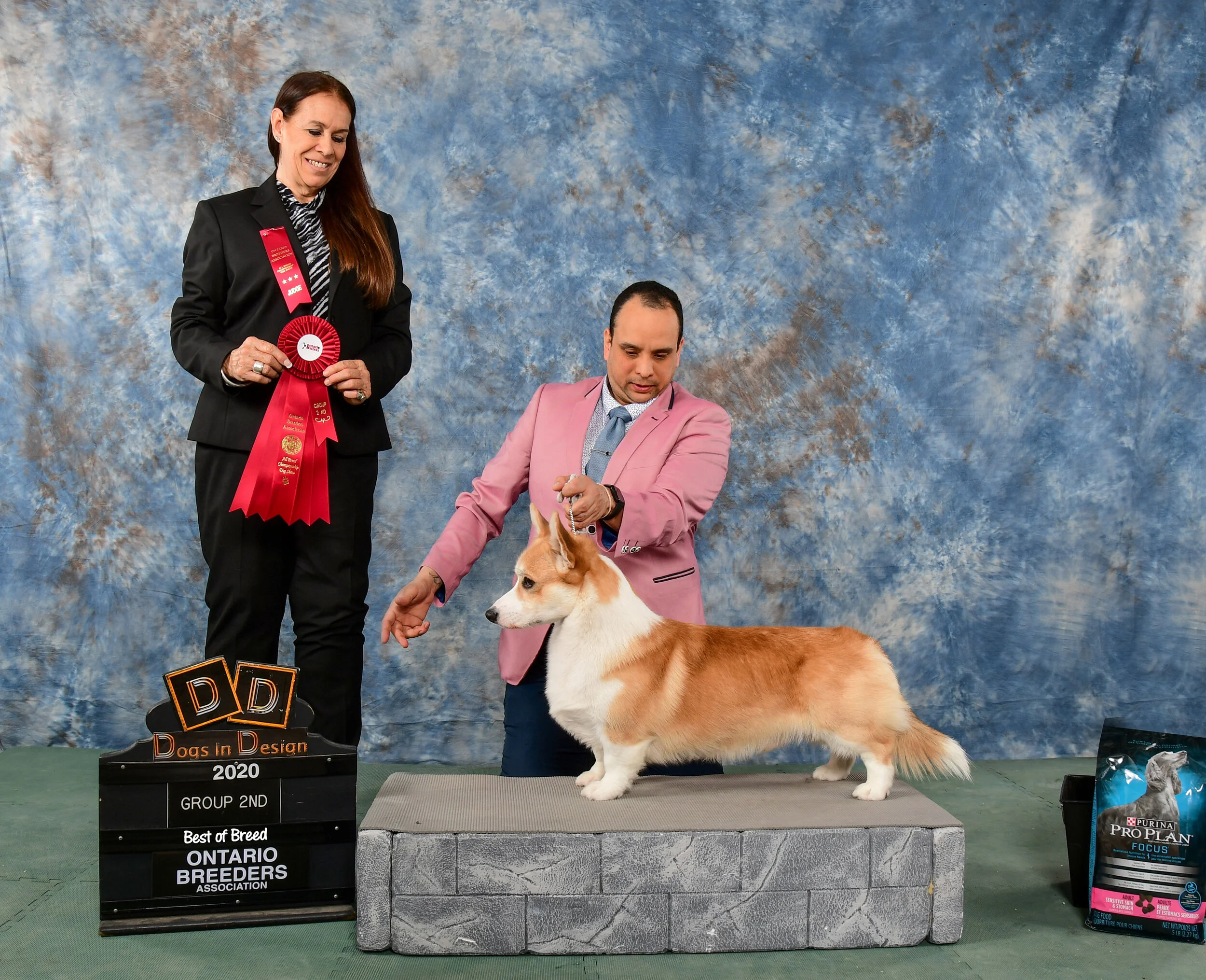 corgi breeders ontario