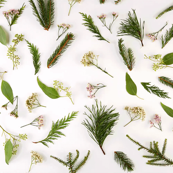 This winter season, provide your hair, skin and nails with the nutrients they deserve!