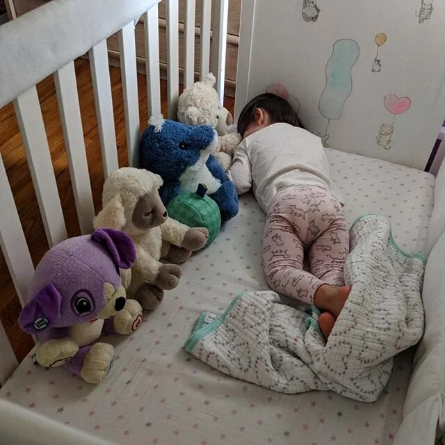 She&rsquo;s lined up her animal friends for their daily meeting and 😴. #mylove #everything #meetingadjourned #diaperbuns #thecutest #soonenough #iloveyou