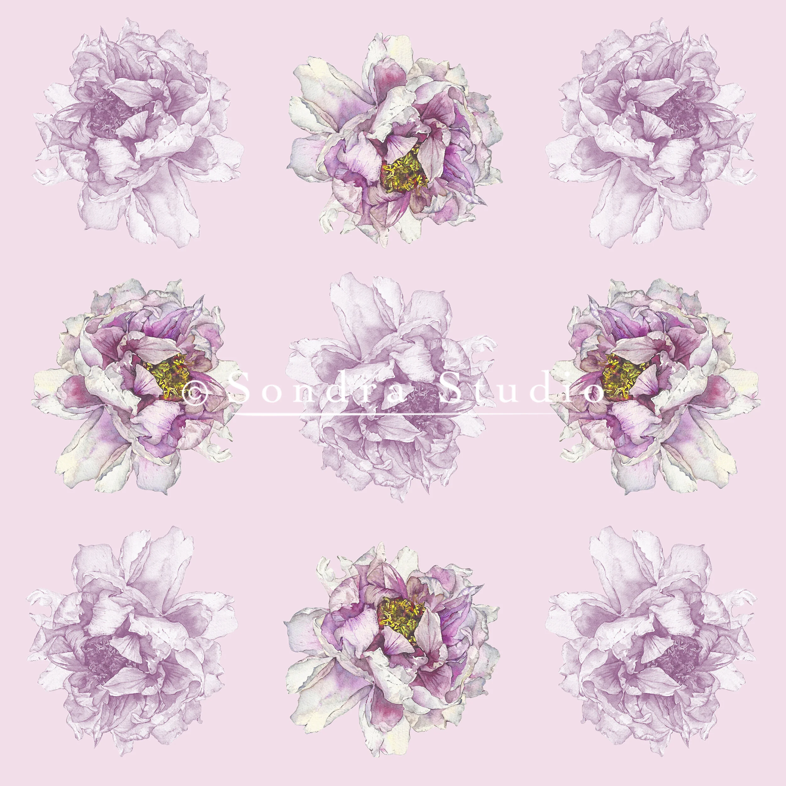 Peony_Purple_Background_WM.jpg
