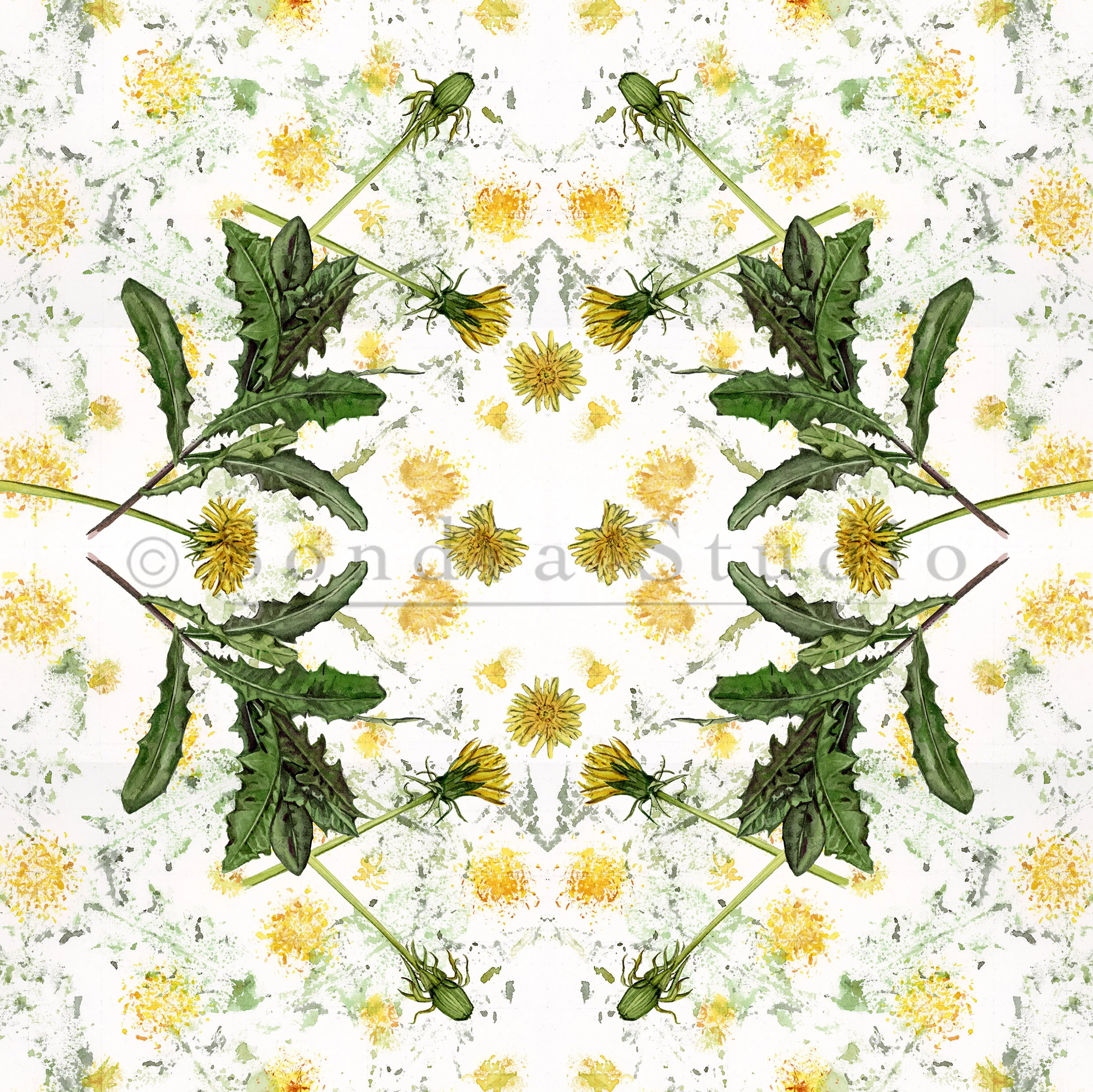 Dandelion_print_WM.jpg