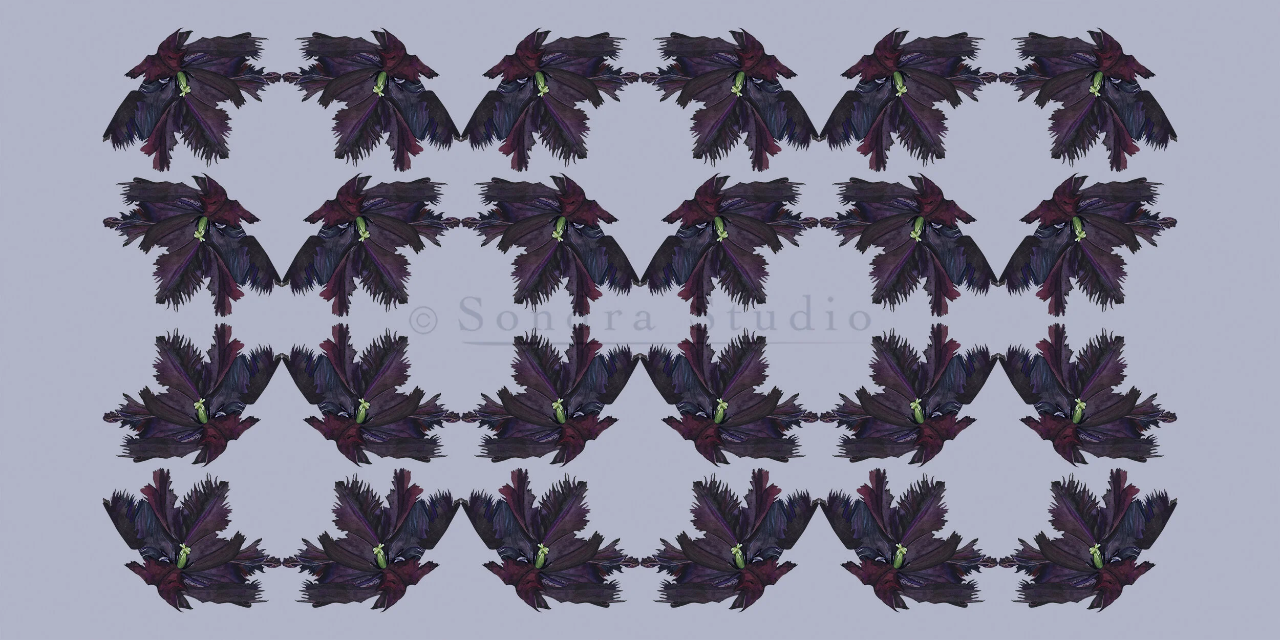 black_tulip_pattern_WM.jpg