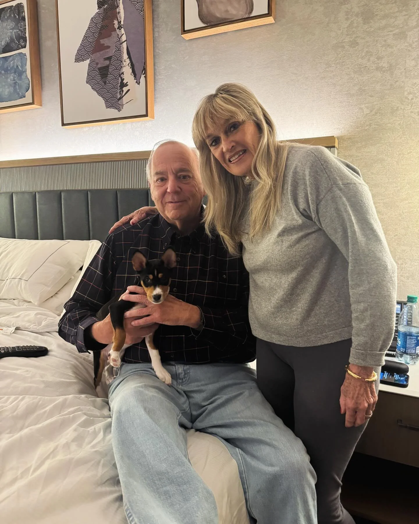 Good bye little Bandit! Enjoy the sun in Florida with Gary and Albina, and big basenji sister Corky ❤️✨