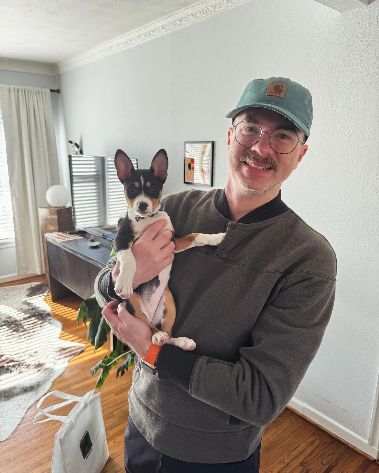 Our first baby goes home! Goodbye baby girl Edie! You will have lots of fun with John and big basenji brother Fitz. ✨