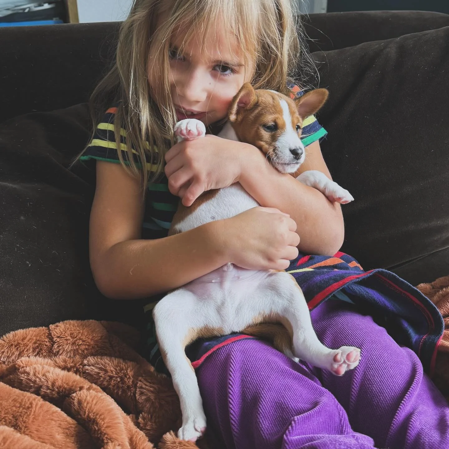 Kiddo approved ☑️ the pups did so well playing with and being handled by kids