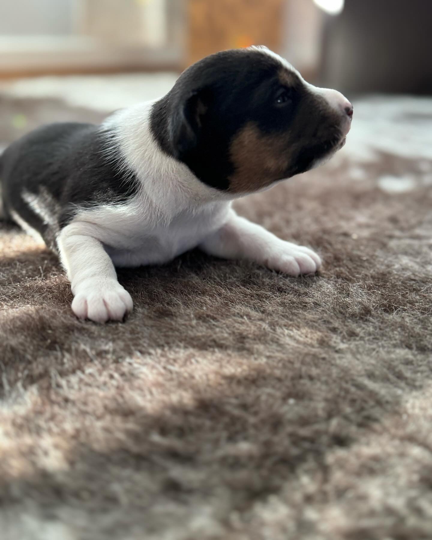 Little adventures! 2.5 weeks ✨