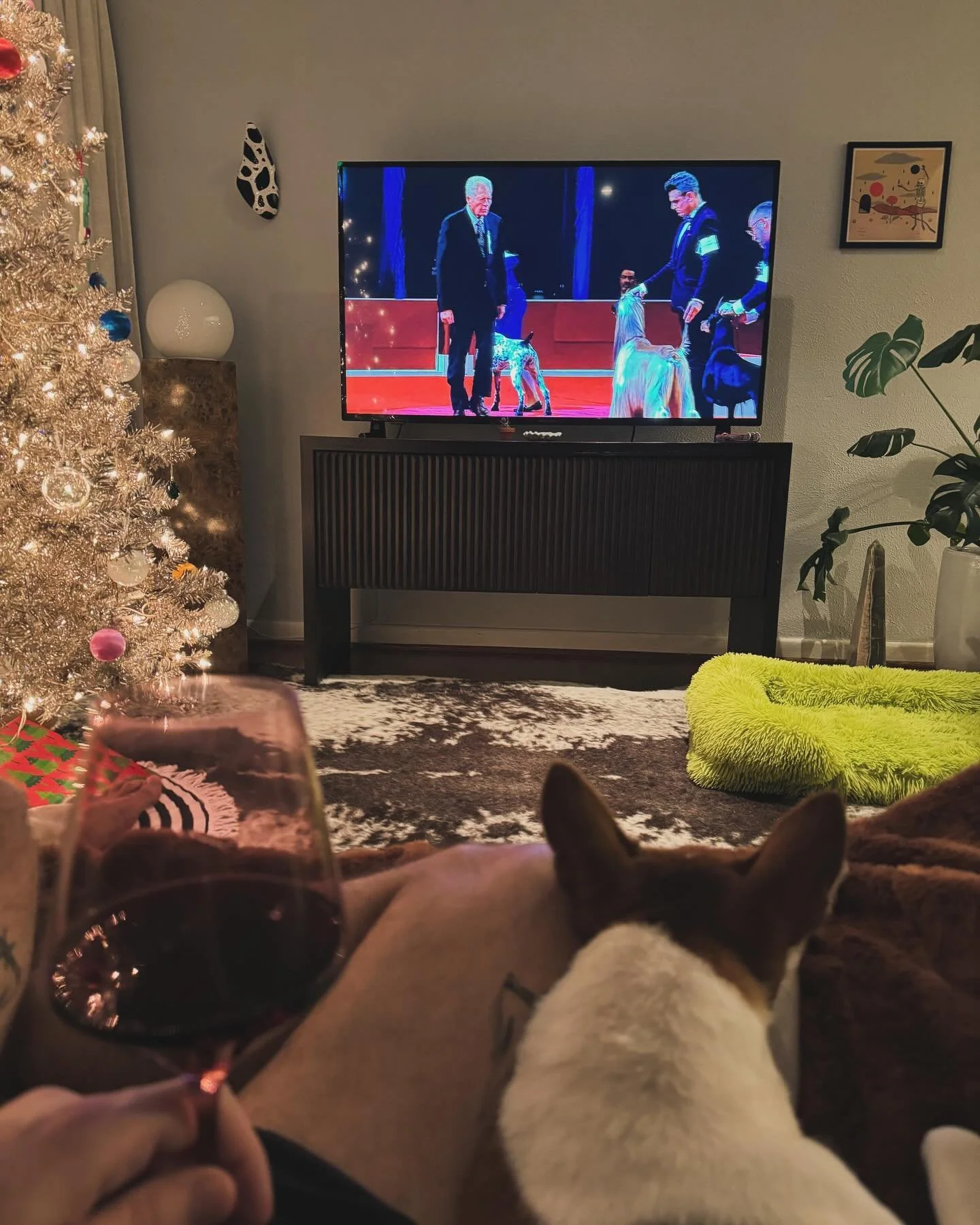 Congrats to all the winners! #akcnationalchampionship