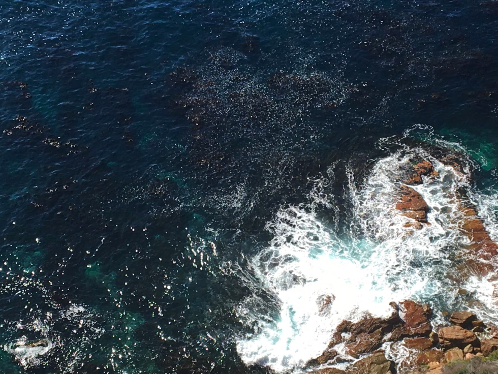 False Meeting of the Oceans.png