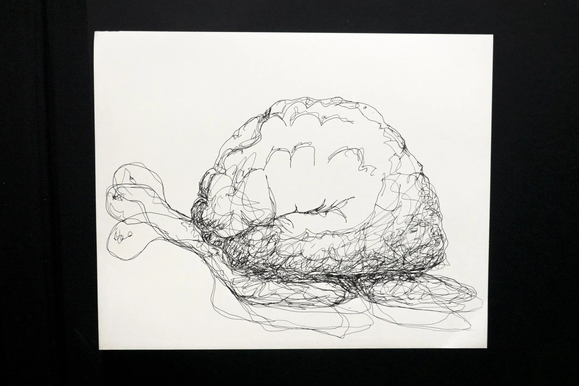 Ink drawing of tortoises overlaid one upon another