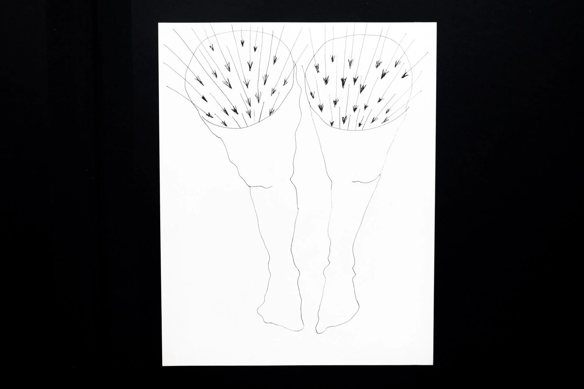 Ink drawing of a pair of legs seen from above into which pour downward pointing arrows
