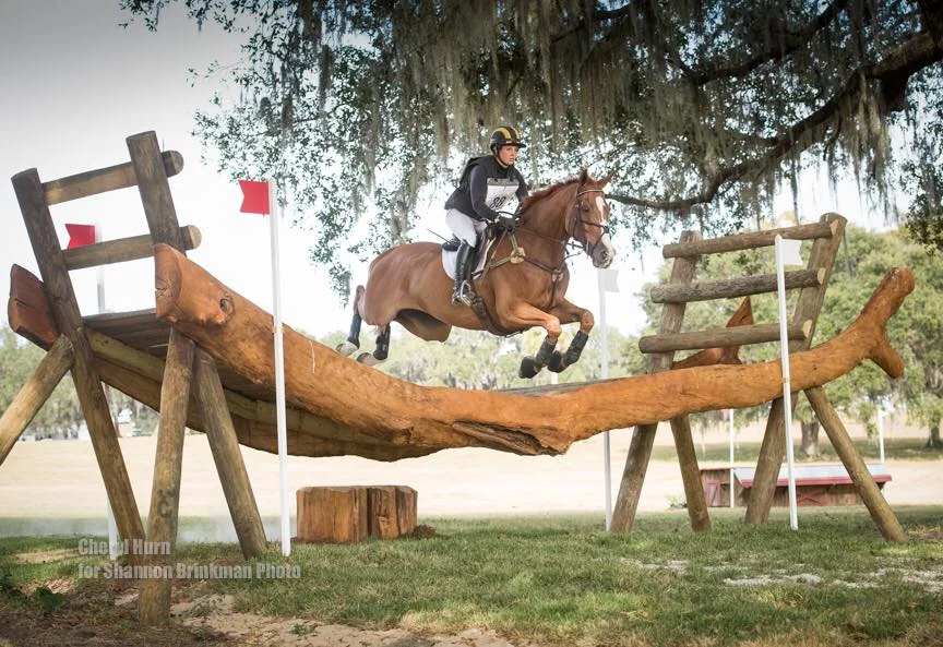 Hoodin Hammock OJC 2016.jpg