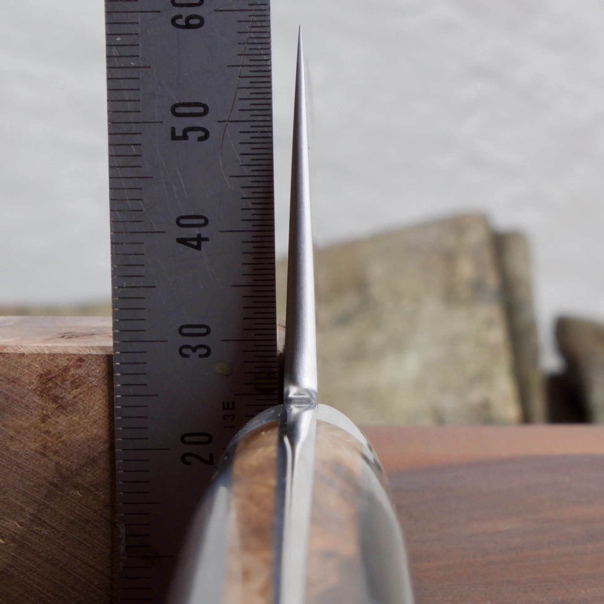 DSCF6248.jpg
