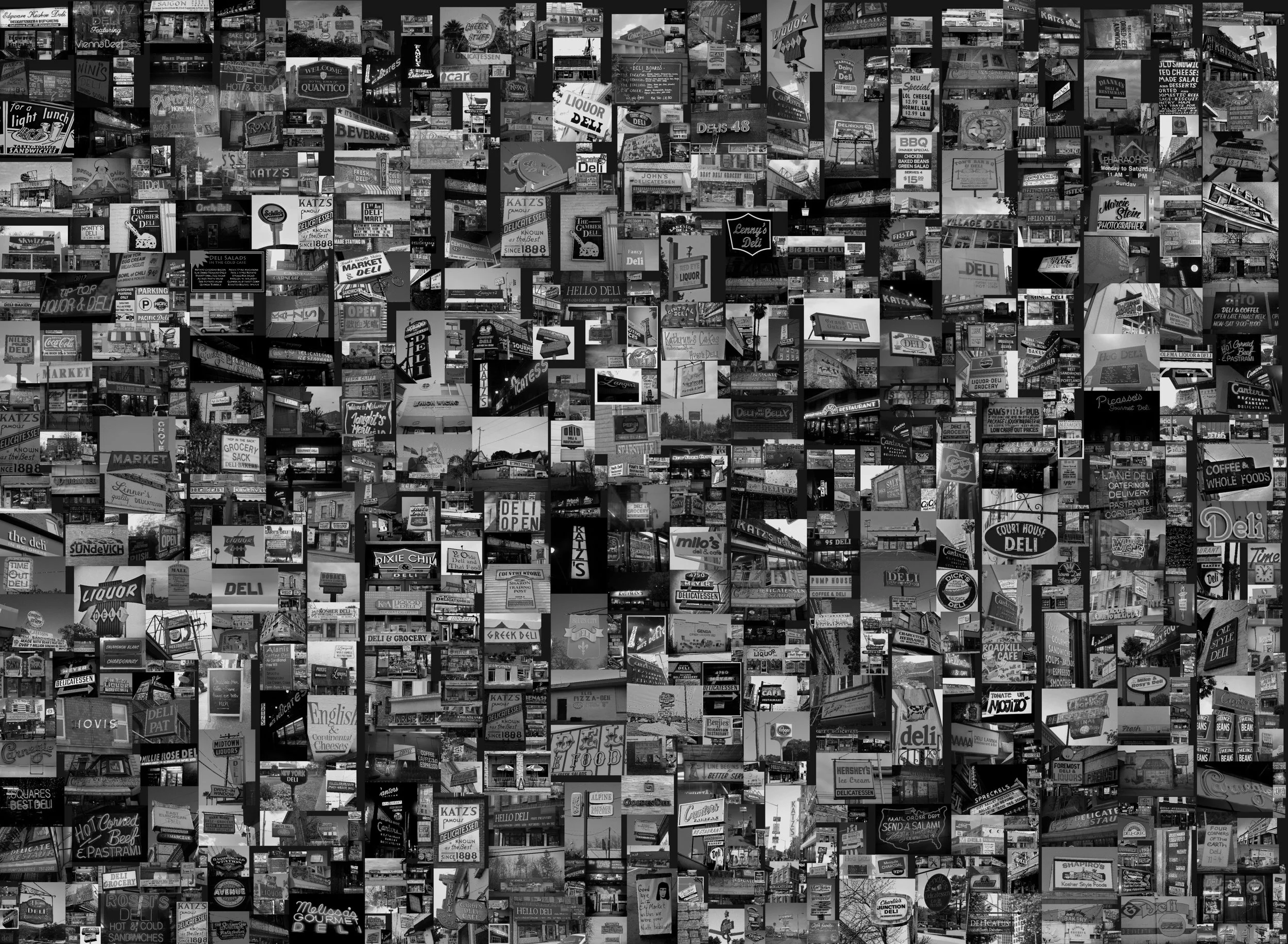 Deli Mosaic Concept2bw.jpg