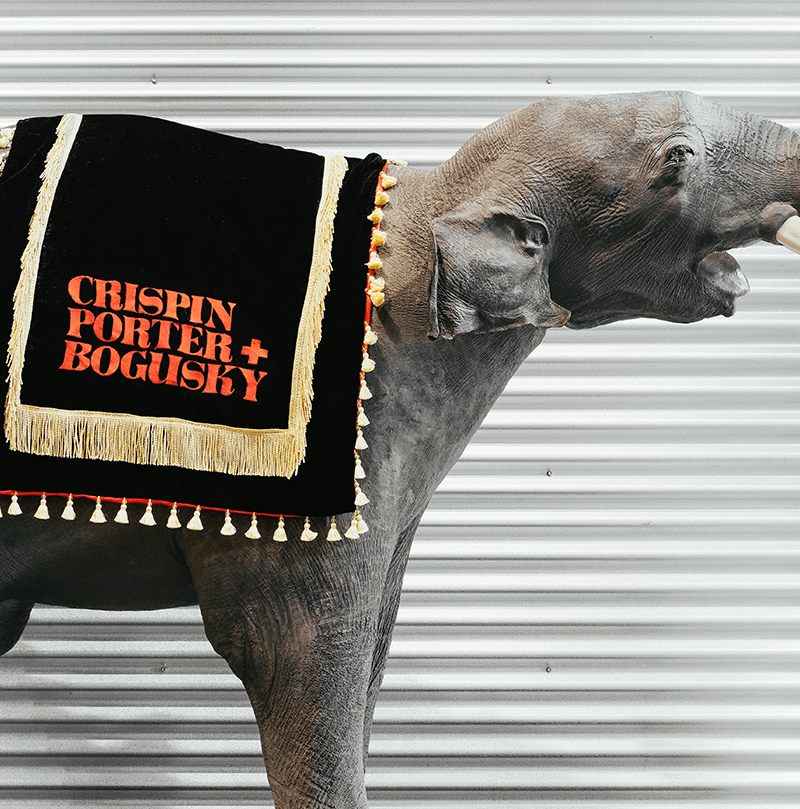  P.T. Barnum’s “pygmy elephant" now lovingly resides in Boulder HQ.  